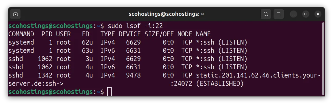 Port used by a program linux