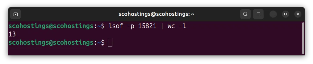 Count FDs a process currently holds