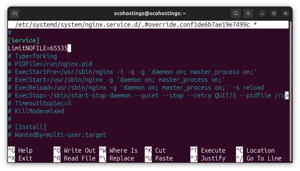 Linux file descriptor limit per service