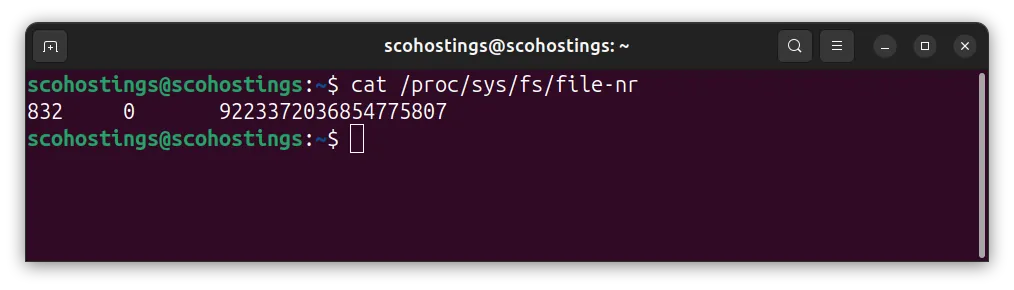 Live kernel usage: FDs allocated / FDs unused / max