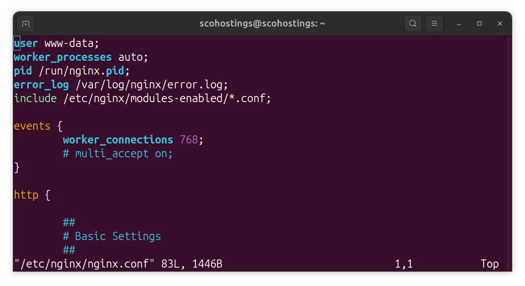 Nginx default conf