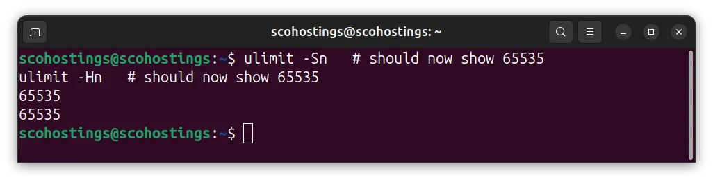 Linux ulimit check